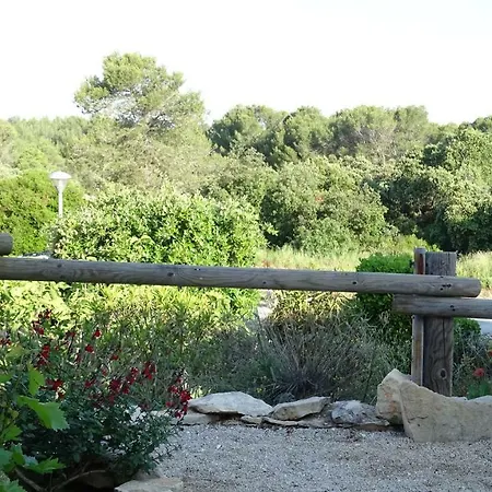 Le Mas Des Vignes